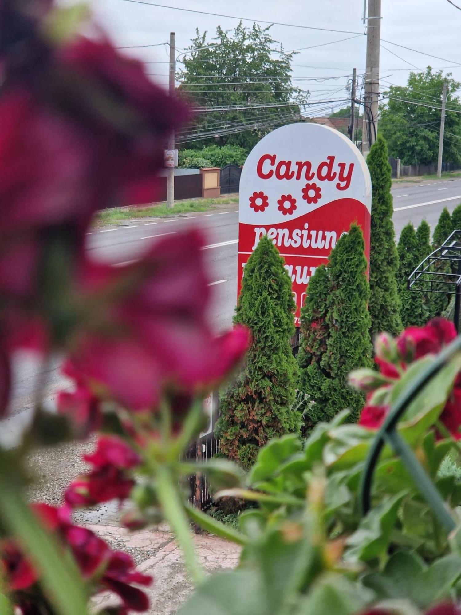 Candy Pensiune&Restaurant Dumbrava Rosie Ngoại thất bức ảnh